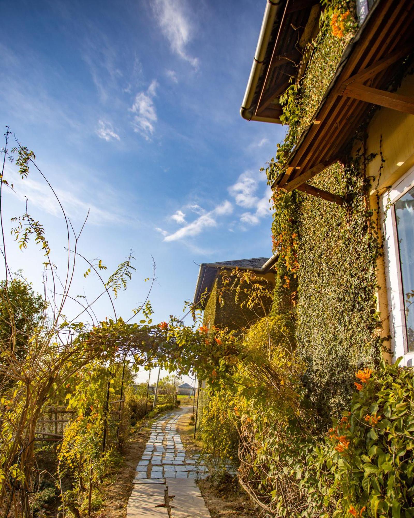 Hotel Seclude Pālampur Extérieur photo