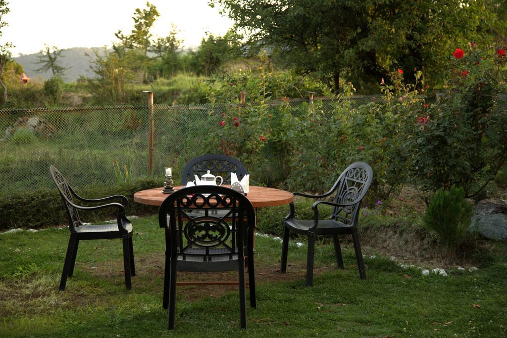Hotel Seclude Pālampur Extérieur photo